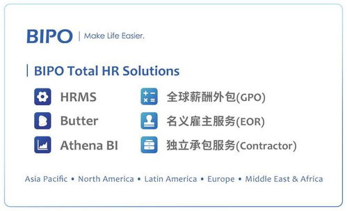 BIPO全球薪酬外包服務 薪酬系統與財務軟件一體化集成解決方案